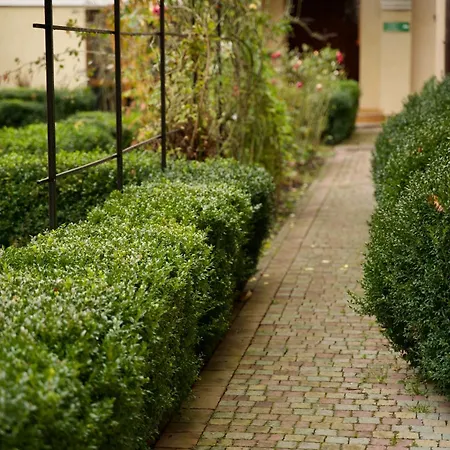 петрос Family *